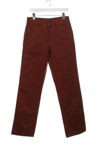 Herren Jeans Unbranded, Größe S, Farbe Braun, Preis € 10,32