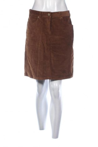 Φούστα TCM, Μέγεθος M, Χρώμα Καφέ, Τιμή 1,99 €