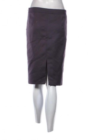Φούστα Unbranded, Μέγεθος M, Χρώμα Βιολετί, Τιμή 3,99 €