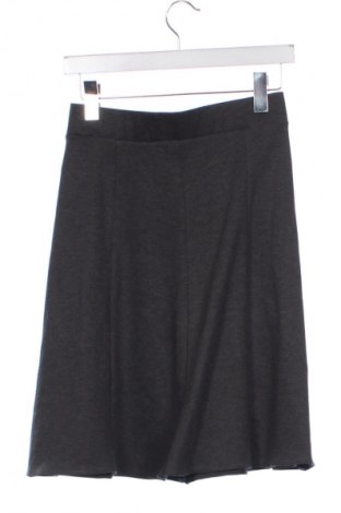 Φούστα Unbranded, Μέγεθος XS, Χρώμα Γκρί, Τιμή 3,99 €