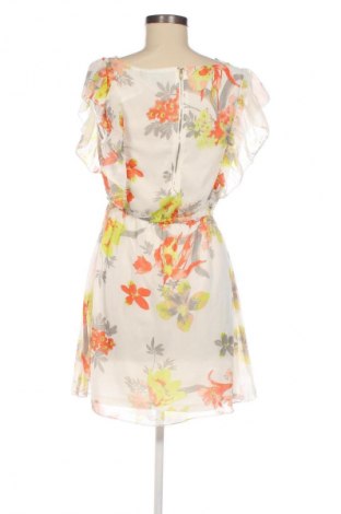 Sukienka Amisu, Rozmiar M, Kolor Kolorowy, Cena 20,99 zł