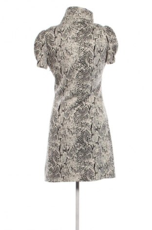 Φόρεμα Calvin Klein, Μέγεθος M, Χρώμα Πολύχρωμο, Τιμή 11,99 €