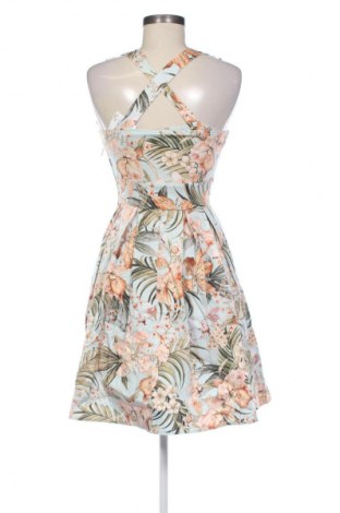 Kleid Orsay, Größe XS, Farbe Mehrfarbig, Preis € 7,99