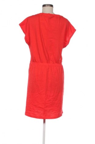 Kleid Oviesse, Größe XL, Farbe Rot, Preis 4,99 €
