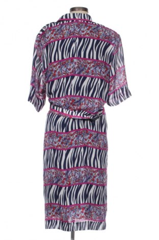 Šaty  Unbranded, Veľkosť XL, Farba Viacfarebná, Cena  18,95 €