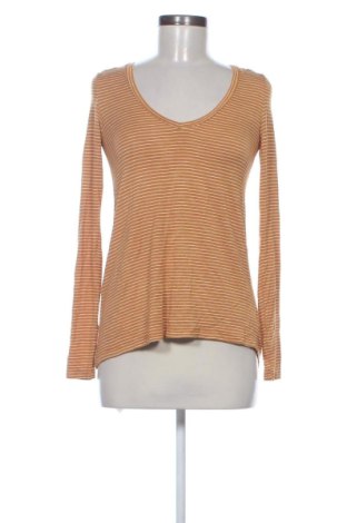 Bluză de femei American Eagle, Mărime M, Culoare Multicolor, Preț 245,00 Lei, #137712030