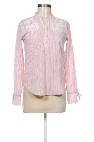 Damen Shirt Lee Cooper, Größe S, Farbe Mehrfarbig, Preis 9,53 €, #137718141