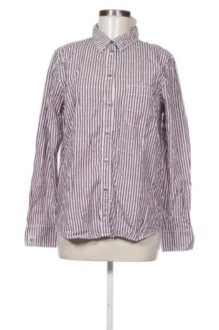 Damenbluse Tom Tailor, Größe L, Farbe Mehrfarbig, Preis 10,10 €, #137724722