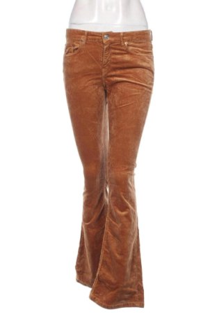 Pantaloni de velvet de femei Zara, Mărime M, Culoare Maro, Preț 54,00 Lei, #137759978
