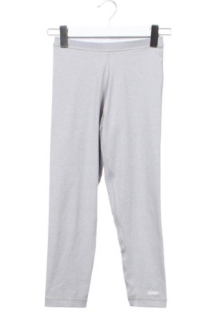 Női leggings Adidas, Méret XS, Szín Szürke, Ár 6 028 Ft, #137699393