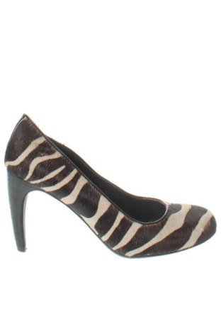 Női cipők Calvin Klein, Méret 37, Szín Sokszínű, Ár 23 050 Ft, #137734738