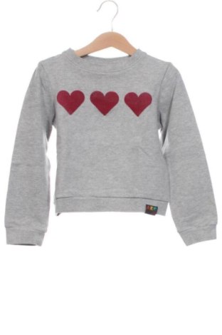 Kinder Shirt Unbranded, Größe 5-6y/ 116-122 cm, Farbe Grau, Preis € 6,00, #137757670