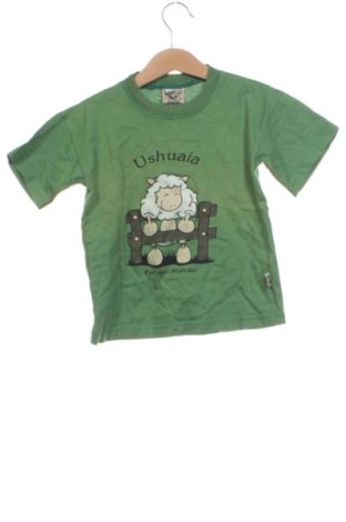 Dziecięcy T-shirt Unbranded, Rozmiar 5-6y/ 116-122 cm, Kolor Zielony, Cena 24,20 zł, #137709666