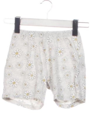 Dziecięce szorty Kids, Rozmiar 4-5y/ 110-116 cm, Kolor Szary, Cena 24,20 zł, #137725112