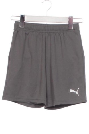 Dětské krátké kalhoty  PUMA, Velikost 11-12y/ 152-158 cm, Barva Šedá, Cena  361,00 Kč, #137753257