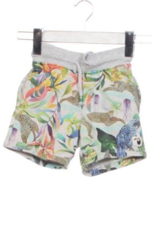 Pantaloni scurți pentru copii Unbranded, Mărime 2-3y/ 98-104 cm, Culoare Multicolor, Preț 31,49 Lei, #137741768