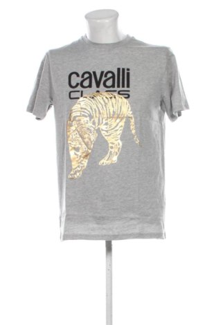 Męski T-shirt Cavalli Class, Rozmiar XL, Kolor Szary, Cena 239,42 zł, #137718488