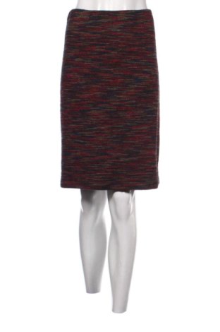 Fustă Unbranded, Mărime XXL, Culoare Multicolor, Preț 54,00 Lei, #137710720