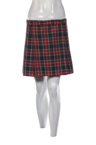 Φούστα Unbranded, Μέγεθος L, Χρώμα Πολύχρωμο, Τιμή 8,00 €, #137729992