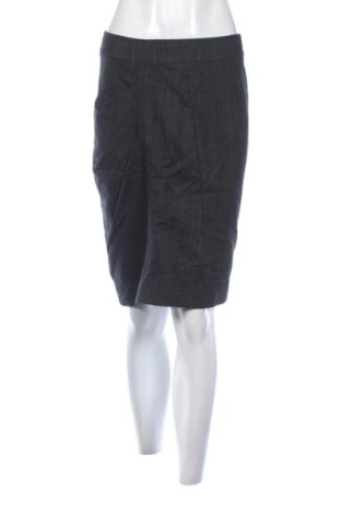 Fustă Sportmax, Mărime M, Culoare Gri, Preț 420,98 Lei, #137742469