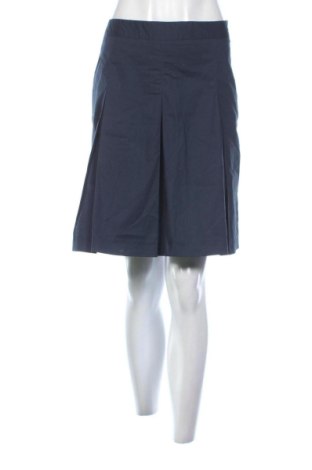 Φούστα Grune Erde, Μέγεθος L, Χρώμα Μπλέ, Τιμή 56,34 €, #137741153