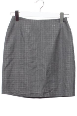 Fustă Unbranded, Mărime XS, Culoare Gri, Preț 52,49 Lei, #137759231