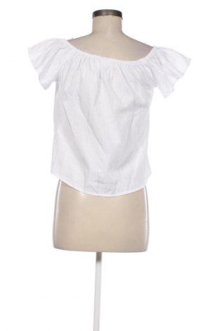 Damen Shirt Beloved, Größe S, Farbe Mehrfarbig, Preis € 2,99