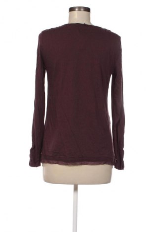 Γυναικεία μπλούζα Biba, Μέγεθος XS, Χρώμα Πολύχρωμο, Τιμή 2,99 €