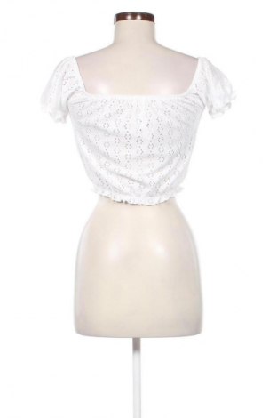 Damen Shirt Terranova, Größe XS, Farbe Weiß, Preis € 3,99