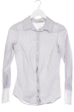 Cămașă de femei Zara, Mărime XS, Culoare Multicolor, Preț 15,99 Lei