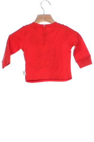 Dziecięca bluzka Ted Baker, Rozmiar 3-6m/ 62-68 cm, Kolor Czerwony, Cena 35,68 zł