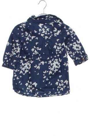 Dziecięca sukienka Crazy 8, Rozmiar 9-12m/ 74-80 cm, Kolor Kolorowy, Cena 6,99 zł