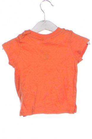 Dziecięcy T-shirt Ergee, Rozmiar 3-6m/ 62-68 cm, Kolor Kolorowy, Cena 6,99 zł