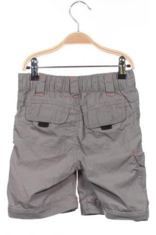 Dziecięce szorty Crane, Rozmiar 5-6y/ 116-122 cm, Kolor Szary, Cena 6,99 zł