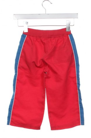 Dziecięce spodnie Unbranded, Rozmiar 1-2m/ 50-56 cm, Kolor Czerwony, Cena 6,99 zł