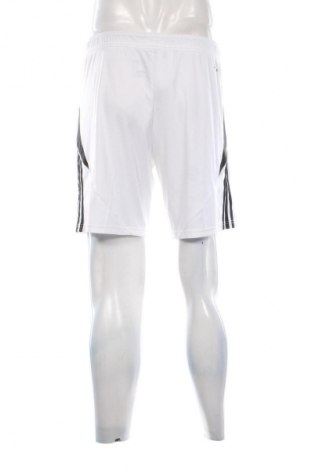 Pantaloni scurți de bărbați Adidas, Mărime M, Culoare Alb, Preț 129,99 Lei