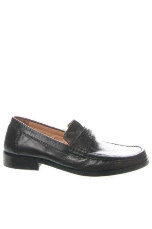 Pánske topánky Daniel Hechter, Veľkosť 41, Farba Hnedá, Cena  49,12 €