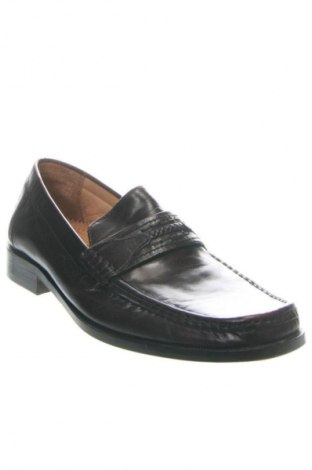 Pánske topánky Daniel Hechter, Veľkosť 41, Farba Hnedá, Cena  49,12 €