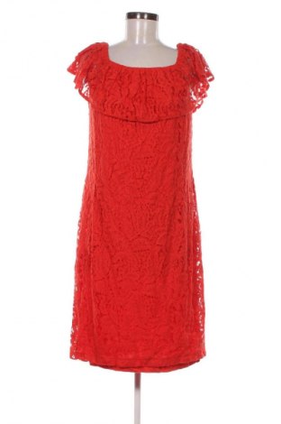 Φόρεμα Mango, Μέγεθος L, Χρώμα Πολύχρωμο, Τιμή 7,99 €