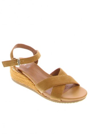 Σανδάλια Geox, Μέγεθος 37, Χρώμα Καφέ, Τιμή 80,99 €