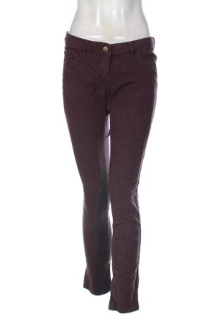 Damskie sztruksy Blue Motion, Rozmiar M, Kolor Fioletowy, Cena 62,91 zł, #137797193