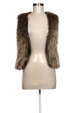 Vestă de femei Unbranded, Mărime XS, Culoare Maro, Preț 99,73 Lei, #137766650