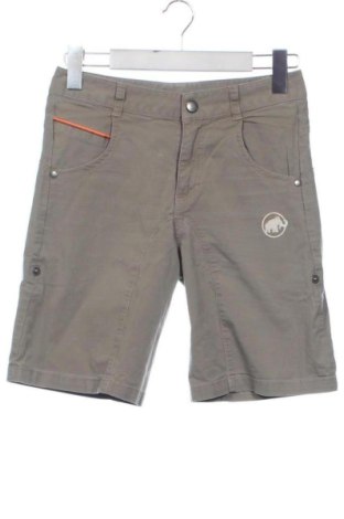 Pantaloni scurți de femei Mammut, Mărime S, Culoare Gri, Preț 128,74 Lei, #137751992