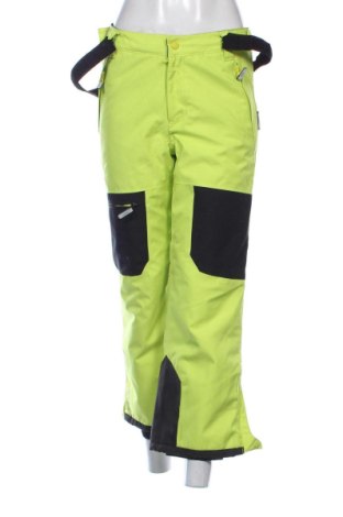 Damenhose für Wintersport Northville, Größe M, Farbe Grün, Preis € 49,53, #137792130