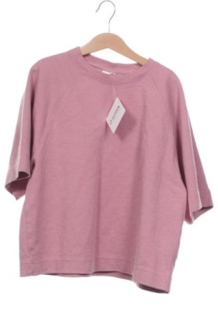 Detské tričko Zara, Veľkosť 11-12y/ 152-158 cm, Farba Ružová, Cena  5,72 €, #137801639