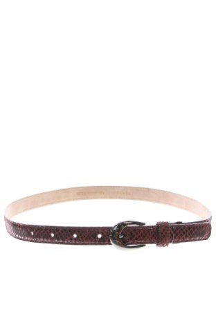 Колан Massimo Dutti, Цвят Многоцветен, Цена 24,00 €, #137756167