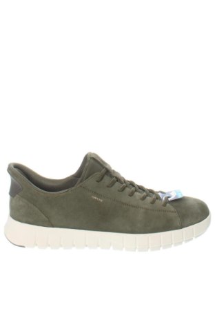 Herrenschuhe Geox, Größe 46, Farbe Grün, Preis 112,99 €, #137790660