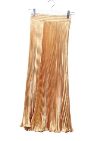Fustă Unbranded, Mărime XXS, Culoare Auriu, Preț 83,99 Lei, #137748848