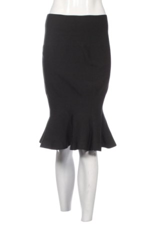 Fustă Hera Collection, Mărime M, Culoare Negru, Preț 110,04 Lei, #137779902