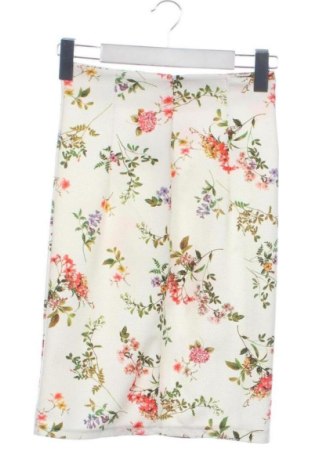 Fustă Unbranded, Mărime XS, Culoare Multicolor, Preț 50,84 Lei, #137784559